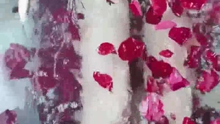大地影院在线电影网