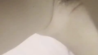 人类观察文件02