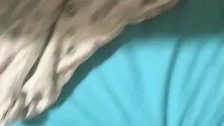 骚的不行的技师