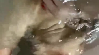 骚妹子情趣装穿上就开始发骚，翘臀美乳含着鸡巴超勾人，很是诱惑喜欢不要错过